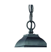 Distressed White Beveled Glass Outdoor Hanging Light