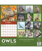 2026 Owls Wall Calendar