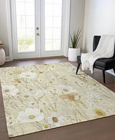 Addison Chantille Machine Washable ACN1505 3'x5' Area Rug