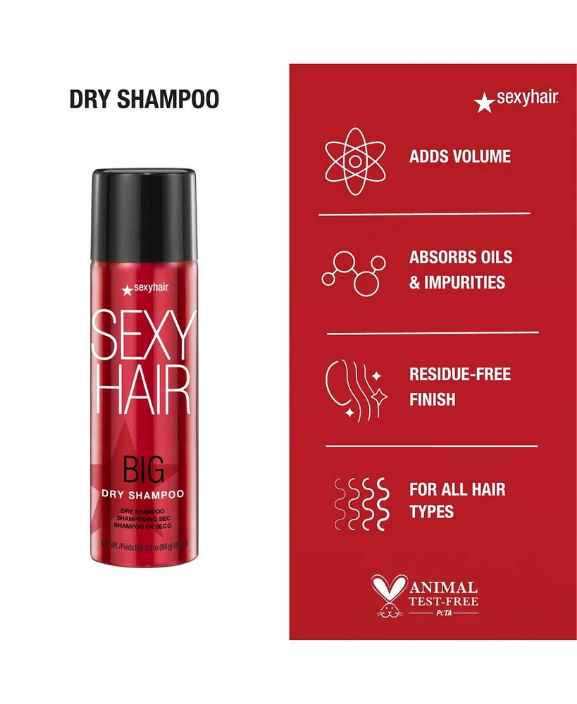 Big Sexy Hair Dry Shampoo 3.4 oz