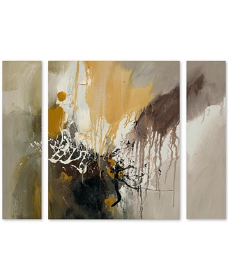 Rio 'Abstract I' Multi Panel Art Set Large