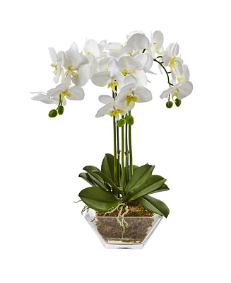 Nearly Natural Triple Phalaenopsis Orchid in Glass Vase