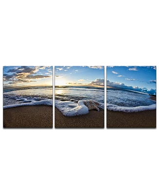 Ready2HangArt 'Sea Star' 3-Pc. Canvas Art Print Set