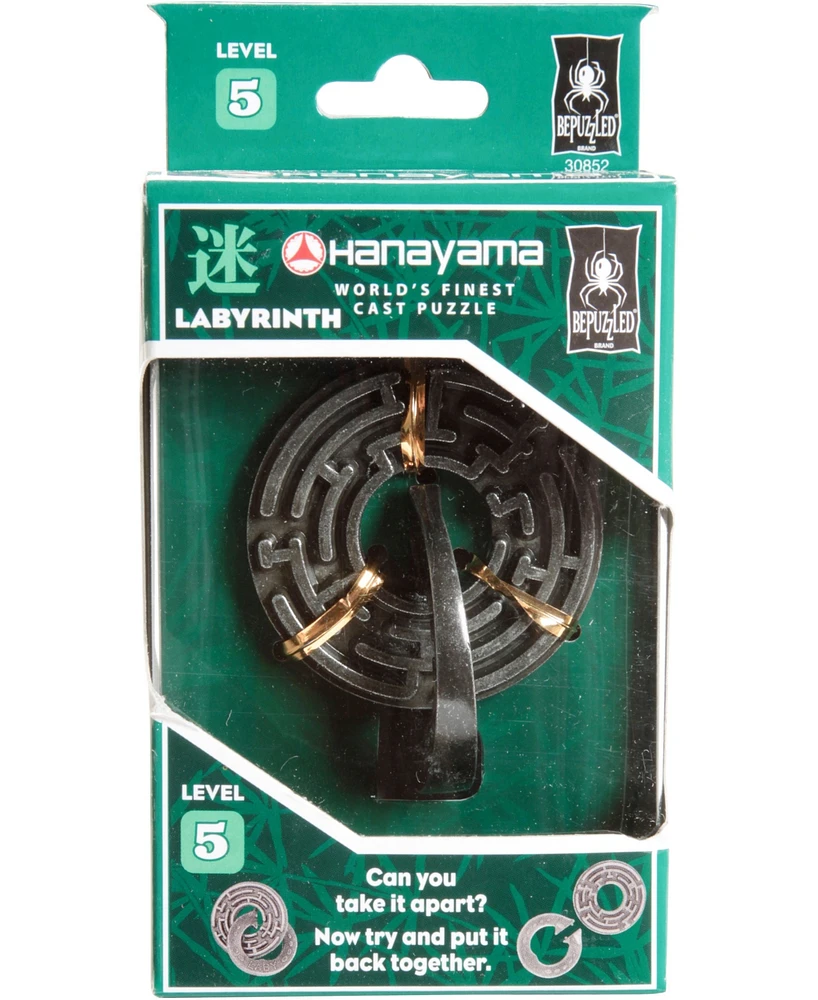 Hanayama Level 5 Cast Puzzle
