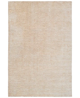 Surya Astara Asa-1002 Khaki 2' x 3' Area Rug