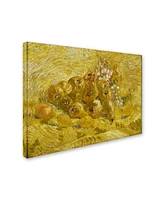 Van Gogh 'Quinces Lemons Pears And Grapes' Canvas Art - 32" x 24" x 2"