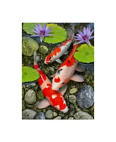 Howard Robinson 'Koi Under Lily Pads' Canvas Art - 24" x 32"