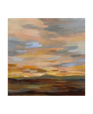 Silvia Vassileva High Desert Sky Iii Canvas Art - 19.5" x 26"