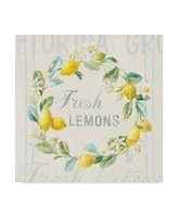 Danhui Nai Floursack Lemon V Canvas Art - 15" x 20"