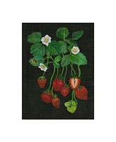 Melissa Wang Strawberry Fields Ii Canvas Art - 20" x 25"