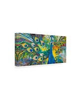 Elizabeth St. Hilaire Percy Peacock I Canvas Art - 20" x 25"