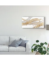 Studio W Gold and Grey Ii Canvas Art - 15" x 20"