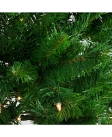 Northlight 7.5' Pre-Lit Stillwater Spruce Pencil Artificial Christmas Tree - Clear Lights