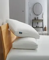 Serta White Goose Feather & Down Fiber Side Sleeper 2-Pack Pillow, Standard/Queen