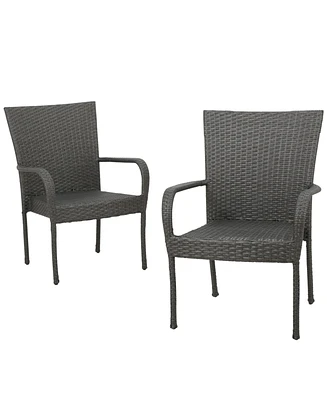 Noble House Malone Outdoor Dining Chairs, Set of 2