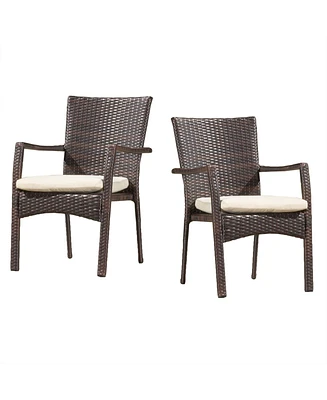 Noble House Wilkerson Outdoor Dining Chair with Cushion, Set of 2