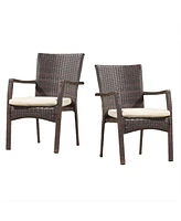 Noble House Wilkerson Outdoor Dining Chair with Cushion, Set of 2