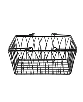 Spectrum Twist Handled Basket, Medium