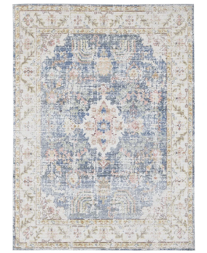 Amer Rugs Century Cen-18 Indigo 7'10" x 10'6" Area Rug
