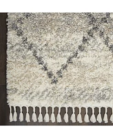Nourison Home Oslo Shag OSL01 Ivory and Gray 4' x 6' Area Rug