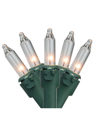 Northlight Clear Mini Christmas Light