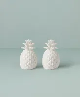 Lenox Wicker Creek Pineapple Salt Pepper Set, Set of 2