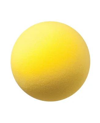 Champion Sports Uncoated Regular Density Ball, 8.5"