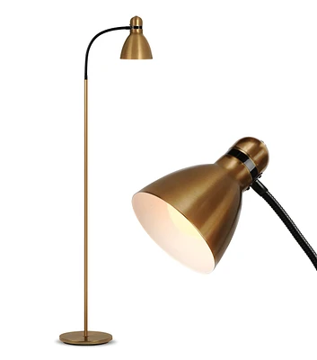 Avery Adjustable Gooseneck Led Reading Floor Lamp (63"), Light Bulb Included