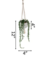 Flora Bunda String of Pearls Macrame Hanging Ceramic Pot Donkey Tails, 4"