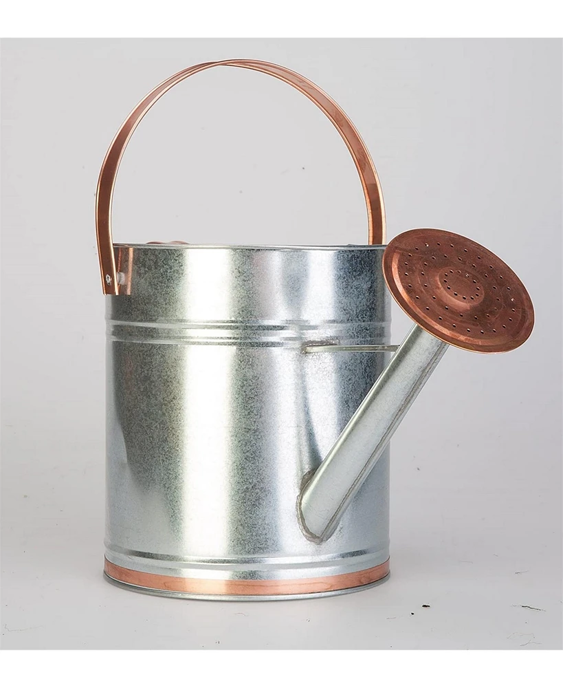 Panacea Metal Watering Can, Galvanized Silver/Copper Accents, 2 Gal