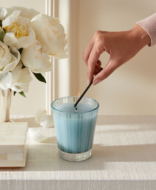 Nest New York Driftwood & Chamomile Classic Candle, 8.1 oz.