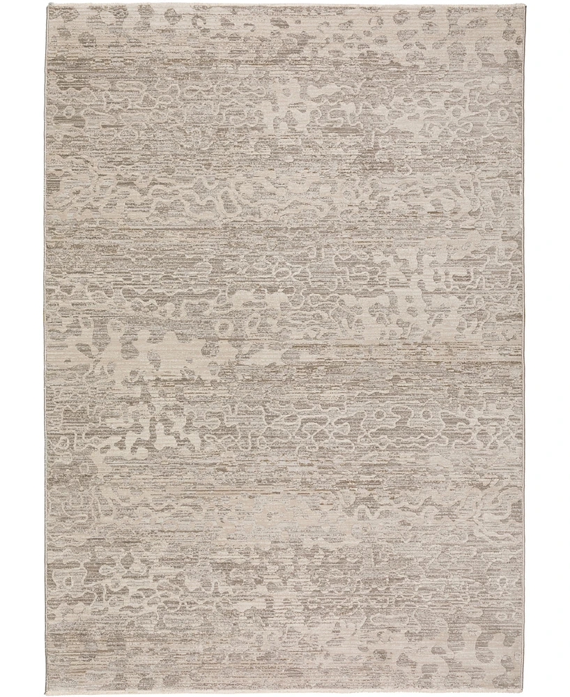 Dalyn Denizi DZ6 5'3" x 7'8" Area Rug