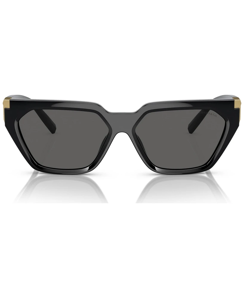 Tiffany & Co. Women's Sunglasses, TF4205U