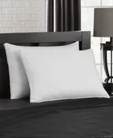 Ella Jayne Gusseted Firm Plush Down Alternative Side/Back Sleeper -Pack Pillow