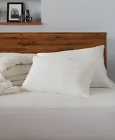 Ella Jayne 100% Cotton Dobby-Box Shell Firm Density Side/Back Sleeper Down Alternative -Pack Pillow