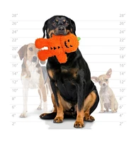 Mighty Microfiber Ball Med Pumpkin Man, Durable Squeaky Halloween Dog Toy