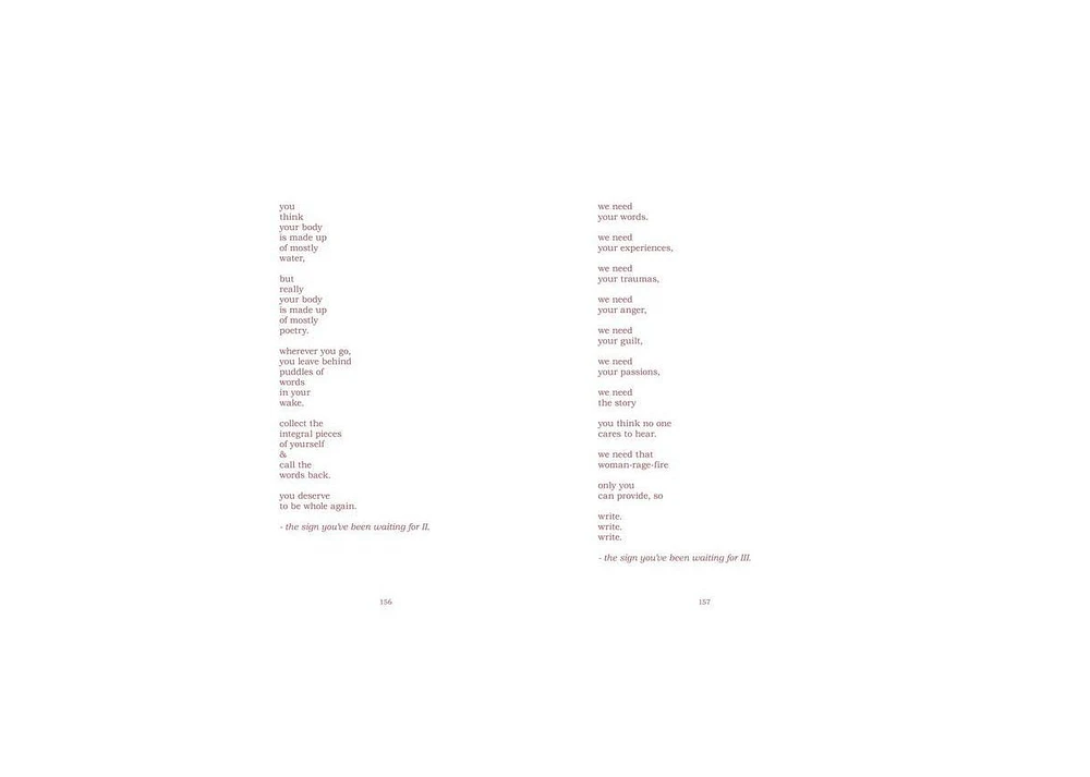 The Witch Doesn't Burn in This One by Amanda Lovelace