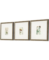 Antique-Like Botanical I Framed Art, Set of 3
