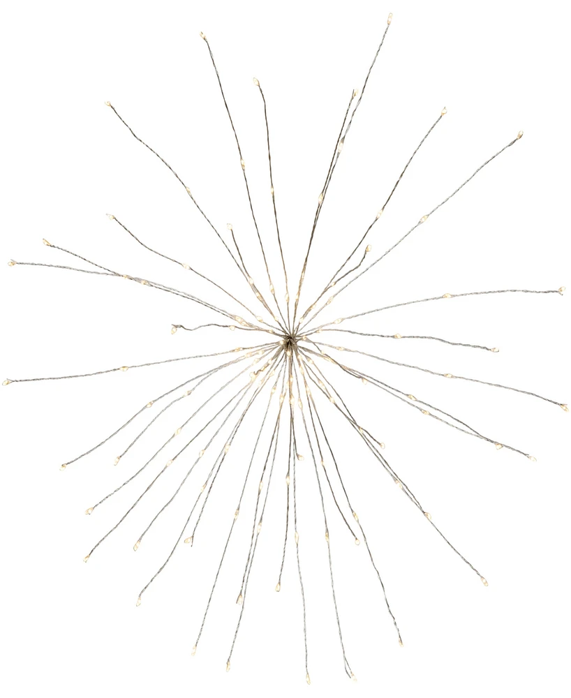 Northlight 20" Light Emitting Diode (Led) Lighted Firework Branch Christmas Decoration Warm Lights