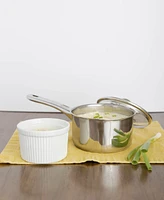Sedona Kitchen Pro Stainless Steel 1.5-Qt. Saucepan with Glass Lid