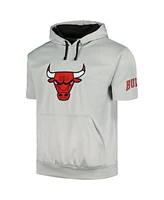 Men's Fanatics Silver, Black Chicago Bulls Short Sleeve Pullover Hoodie