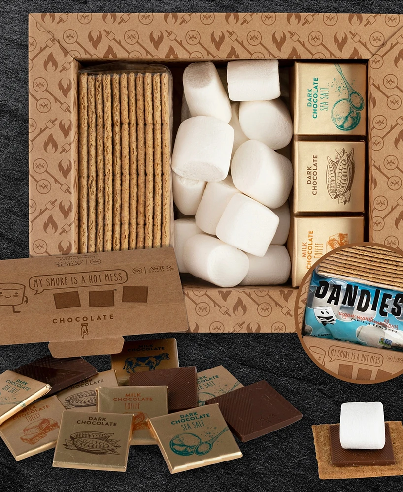 Astor Chocolate Ultimate S'mores Kit Family Pack, 15.8 oz