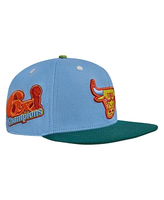 Men's Pro Standard Light Blue, Green Chicago Bulls Retro Program 2-Tone Snapback Hat