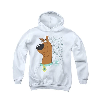 Scooby Doo Youth Evolution Of Pull Over Hoodie / Hooded Sweatshirt