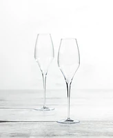 Zwiesel Glas Handmade Alloro Champagne 12.4oz - Set of 2