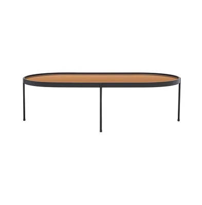 Emmerick Mirrored Coffee Table