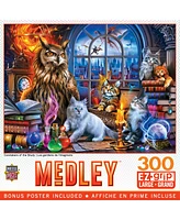 Masterpieces Medley - Caretakers of the Study 300 Piece Ez Grip Puzzle