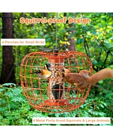 Squirrel-Proof Pumpkin Bird Feeder with Cage 4 Metal Ports 4 Perches Drainage Hole