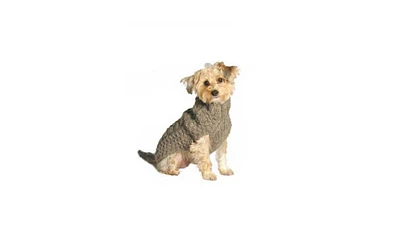 Chilly Dog M Grey Cable