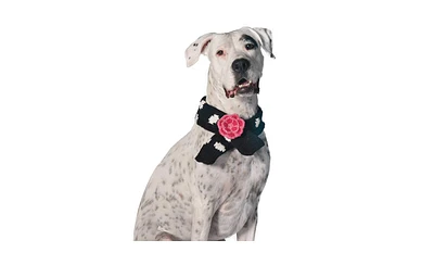 Chilly Dog Black Polka Dot Flower Scarf - Large